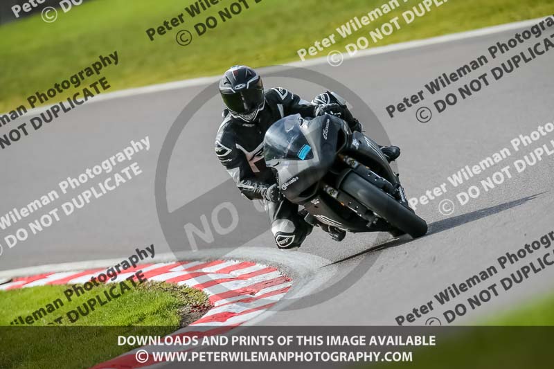 Oulton Park 21st March 2020;PJ Motorsport Photography 2020;anglesey;brands hatch;cadwell park;croft;donington park;enduro digital images;event digital images;eventdigitalimages;mallory;no limits;oulton park;peter wileman photography;racing digital images;silverstone;snetterton;trackday digital images;trackday photos;vmcc banbury run;welsh 2 day enduro